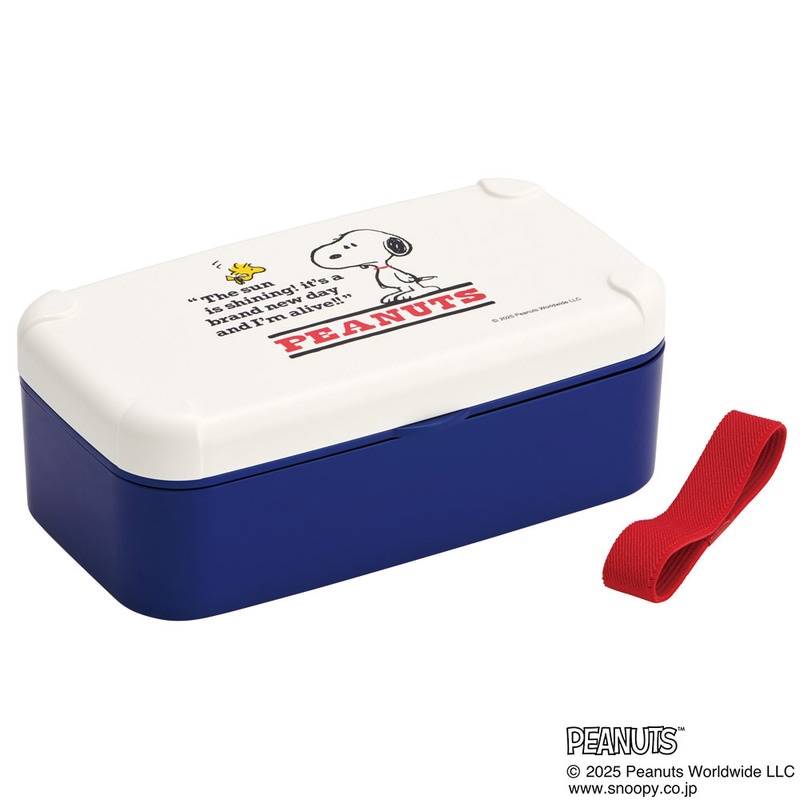 スケーター 弁当箱 スマホスタンド付き 600ml 1段 箸付き 仕切り 食洗