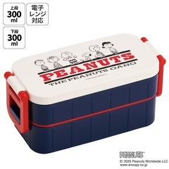 ドンキーコング Skater 弁当箱 ランチボックス 2段 レトロ スケーター お弁当箱 弁当箱 お弁当 ランチボックス 2段 二段 箸付き