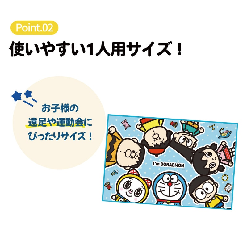 メール便対象品】 スケーター レジャーシート ピクニックシート 子供