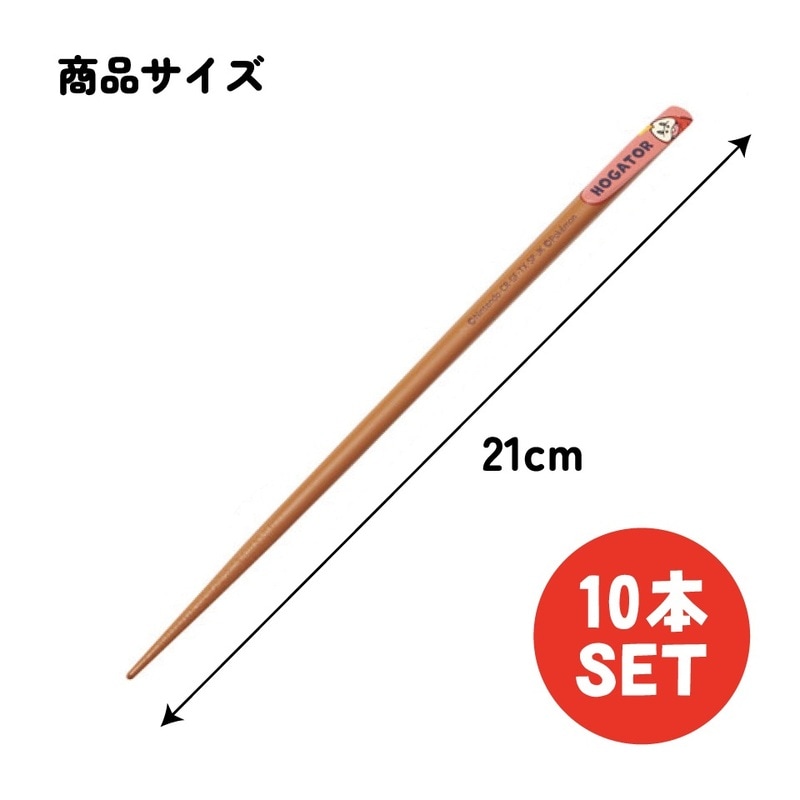 メール便対象品】 スケーター 天削げ 箸 10本入り セット お箸 天削