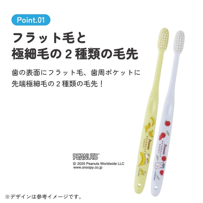メール便対象品】 スケーター 歯ブラシ 2本 セット ふつう 衛生 用品