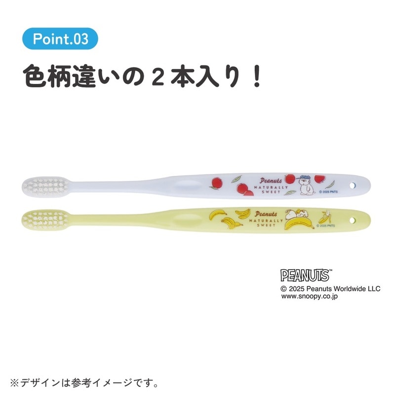メール便対象品】 スケーター 歯ブラシ 2本 セット ふつう 衛生 用品