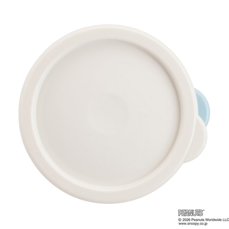 スケーター ワンタッチ 密閉 保存容器 L 1000ml プラスチック 日本製