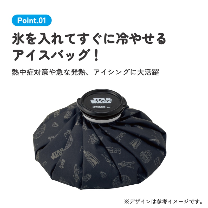 スケーター 氷嚢 氷のう Lサイズ 直径24cm アイスバッグ アイスパック