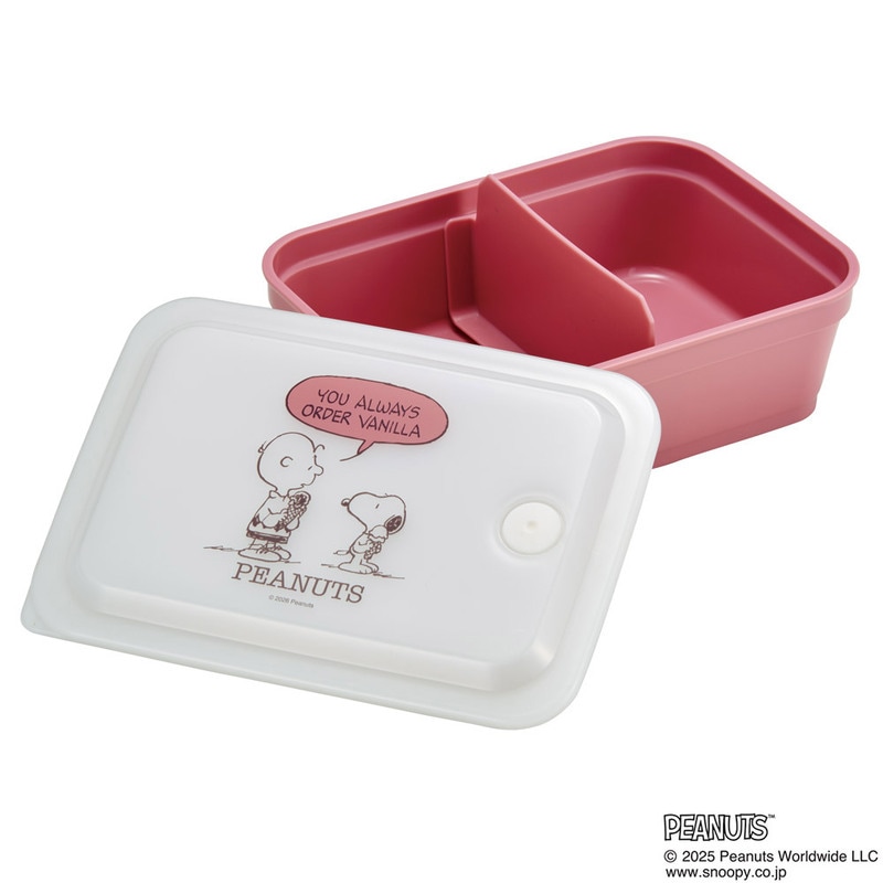 スケーター 抗菌 パッキン 一体型 ふわっと 保存容器 600ml おかず