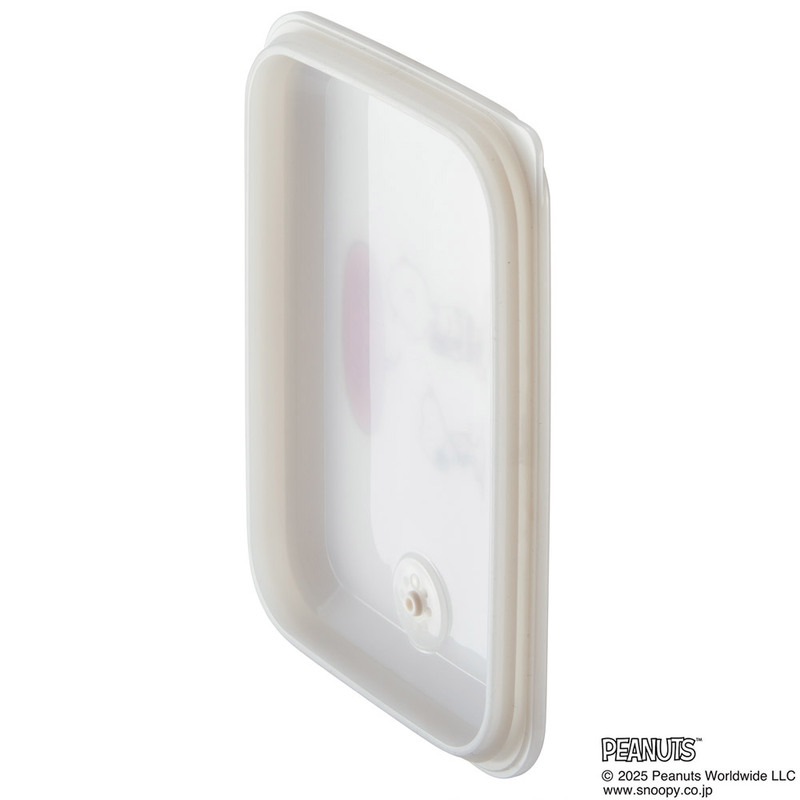 スケーター 抗菌 パッキン 一体型 ふわっと 保存容器 600ml おかず