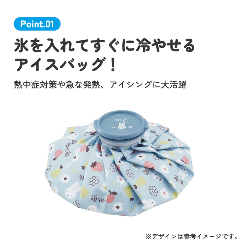 スケーター 氷嚢 氷のう Lサイズ 直径24cm アイスバッグ アイスパック