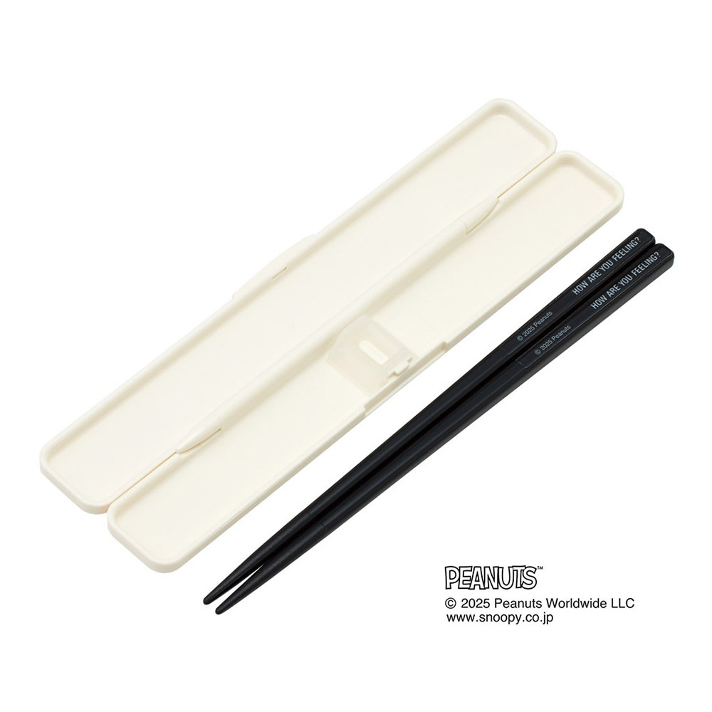 メール便対象品】 お箸セット 食洗器対応 箸入れ 抗菌 カトラリー お