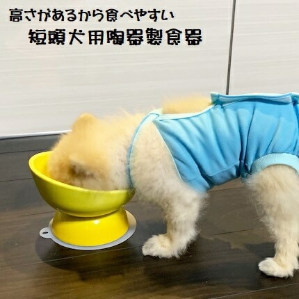 ペット用品】陶器製 短頭犬用食器 ミント（ブルー