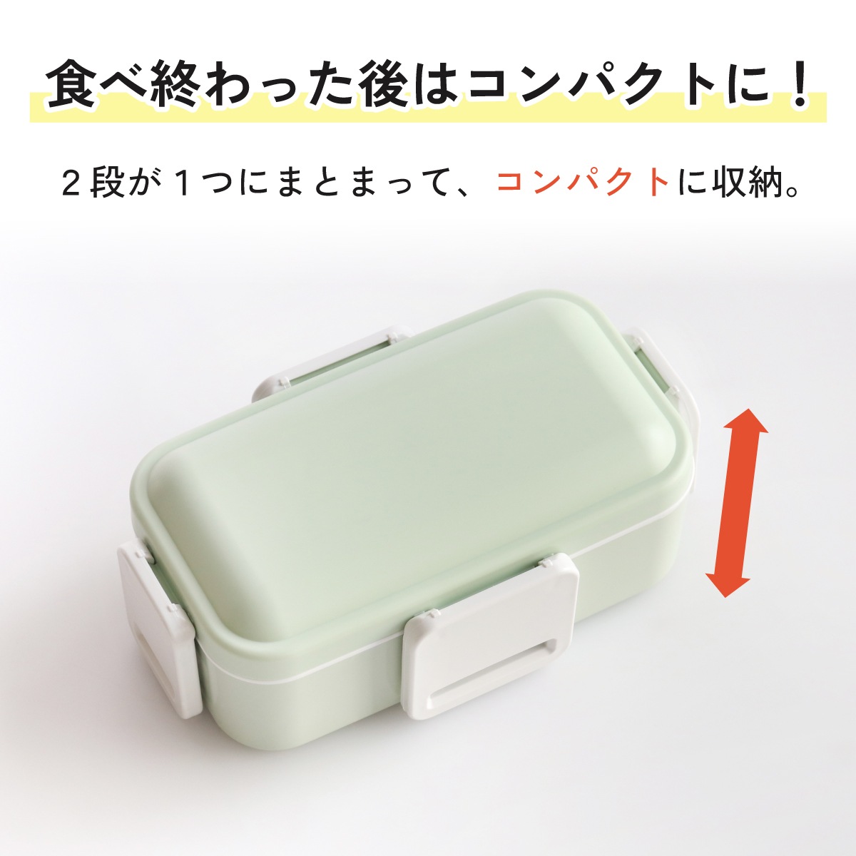 スケーター 弁当箱 大人 子供 二段 仕切り 食洗機 レンジ 対応 小学生