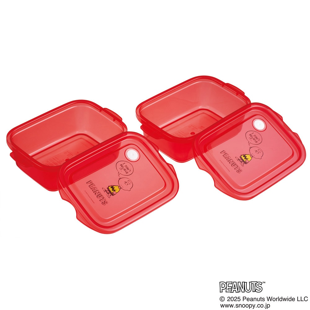 スケーター 保存容器 弁当箱 フードコンテナ シールボックス 2個セット