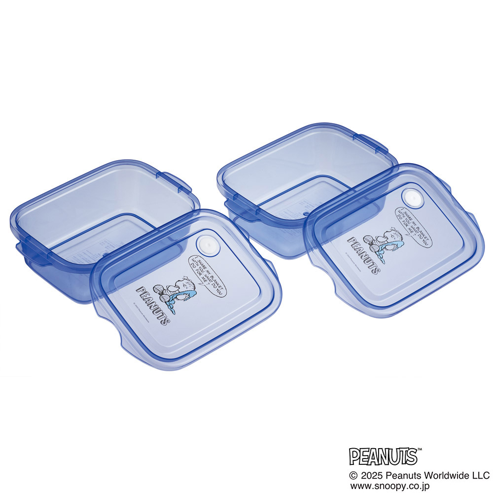 スケーター 保存容器 弁当箱 フードコンテナ シールボックス 2個セット