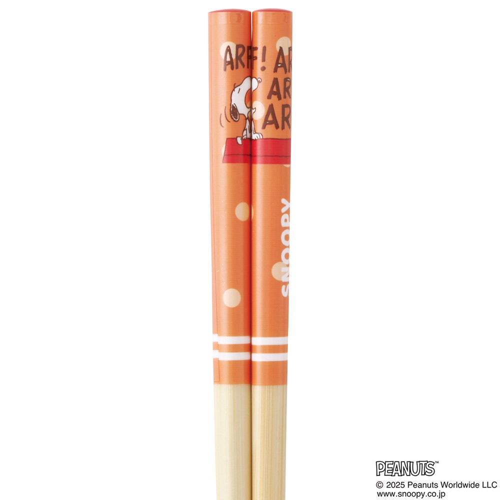 メール便対象品】 スケーター お箸 子供 竹箸 21cm かわいい