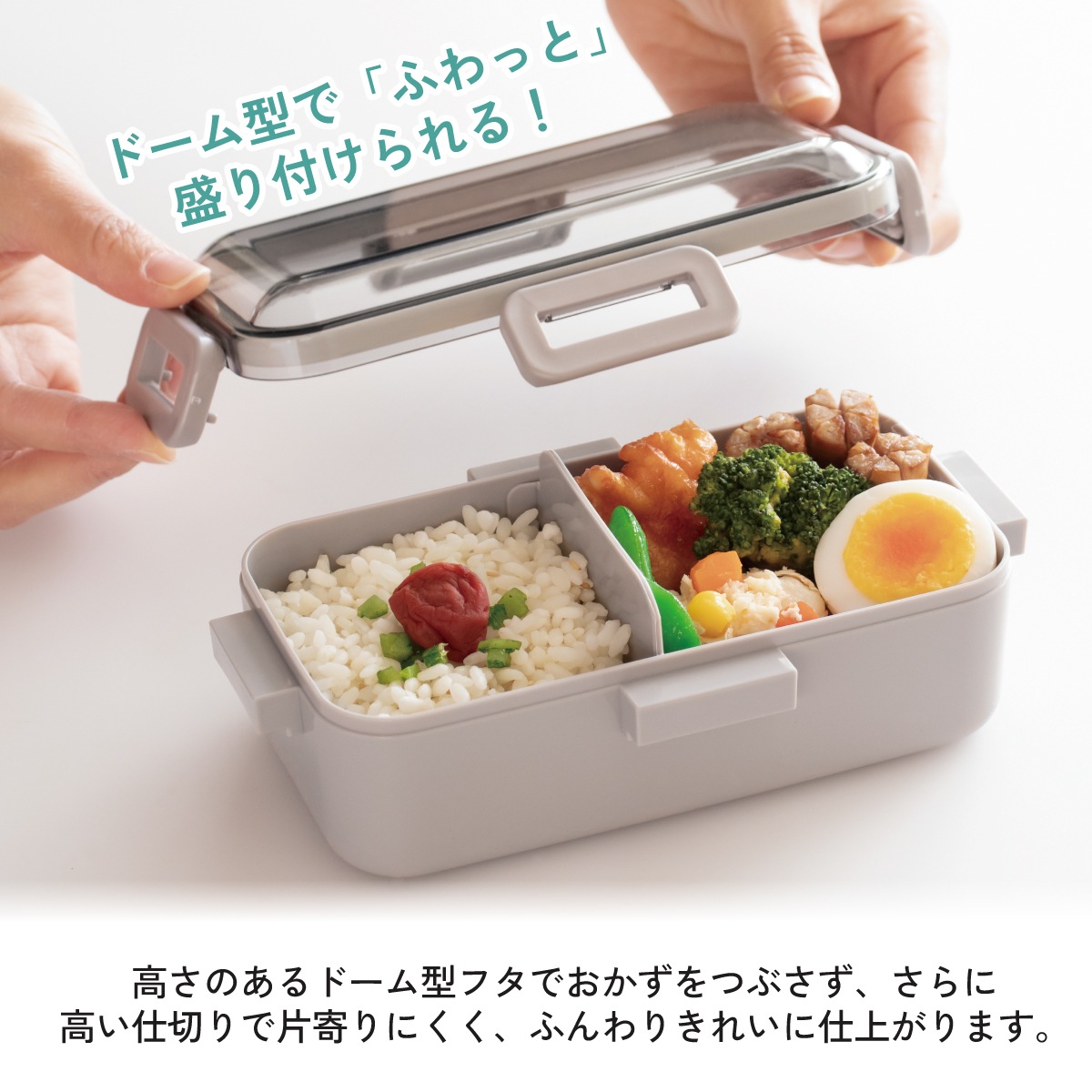 スケーター 弁当箱 530ml 大人 一段 仕切り 食洗機 レンジ 対応 日本製
