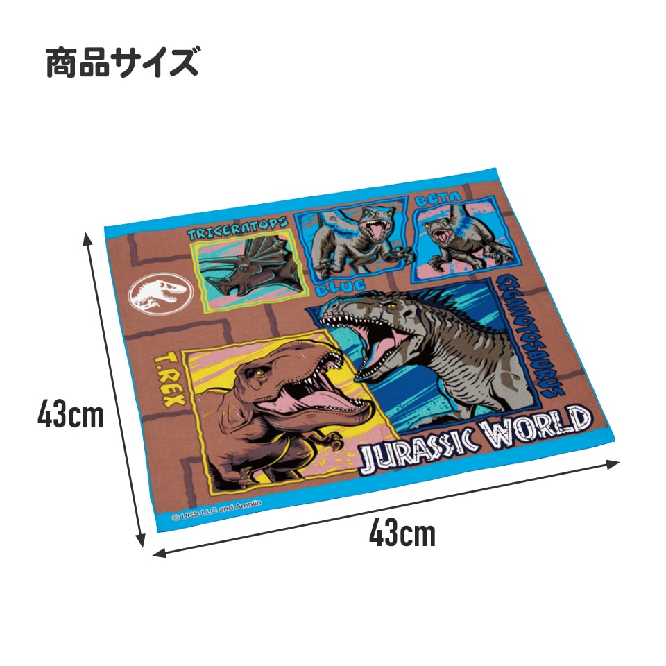 1_000000010907.jpg?1750825648