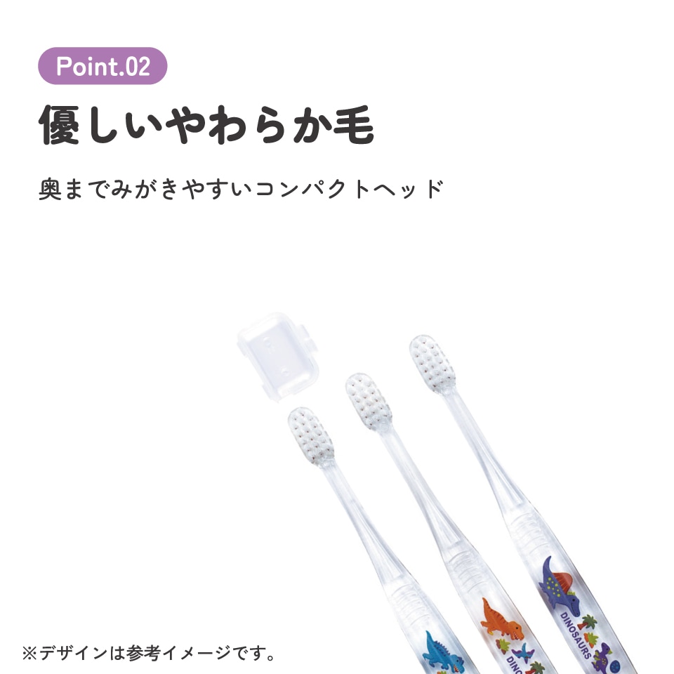 鯨歯3本セット 鯨歯工芸品くじら屋