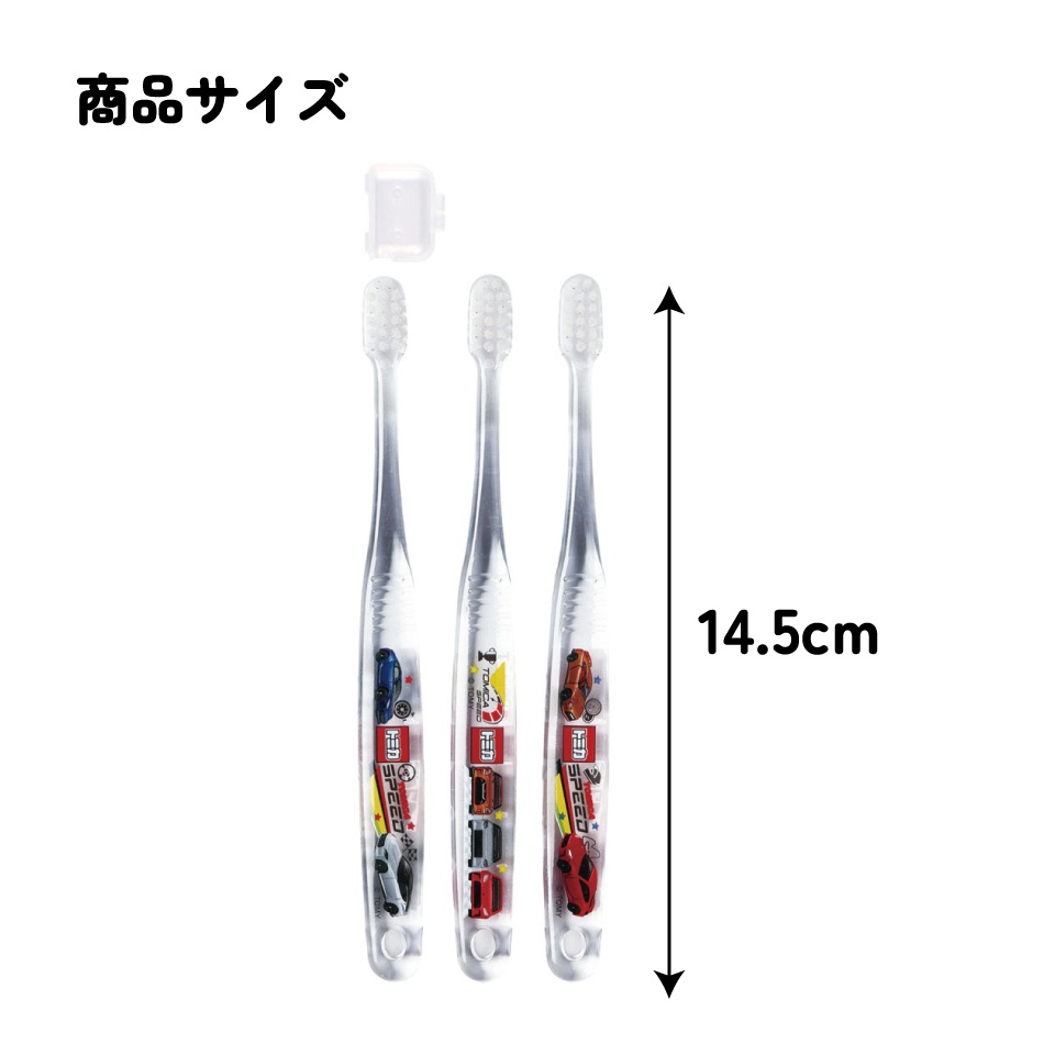 4_000000009013.jpg?1754621224