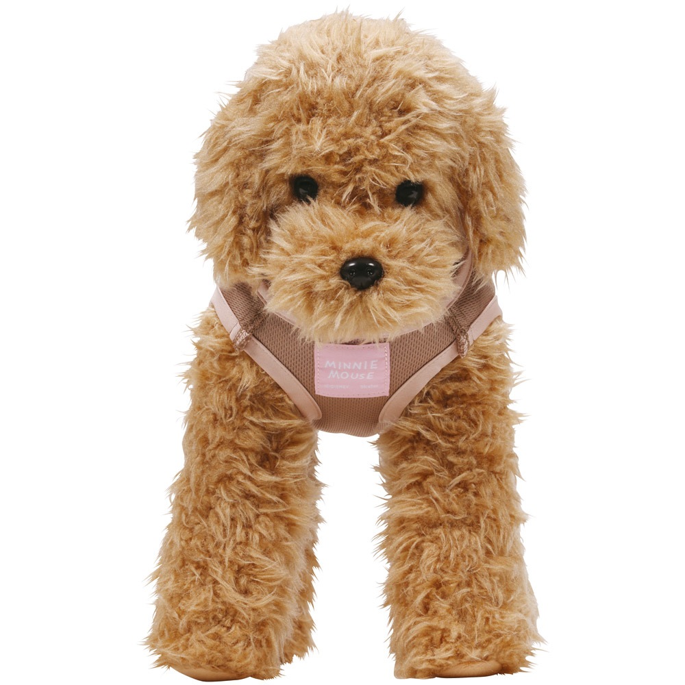 メール便対象品】 ペット用 術後服 犬 女の子用 3号 PETCF1 スケーター