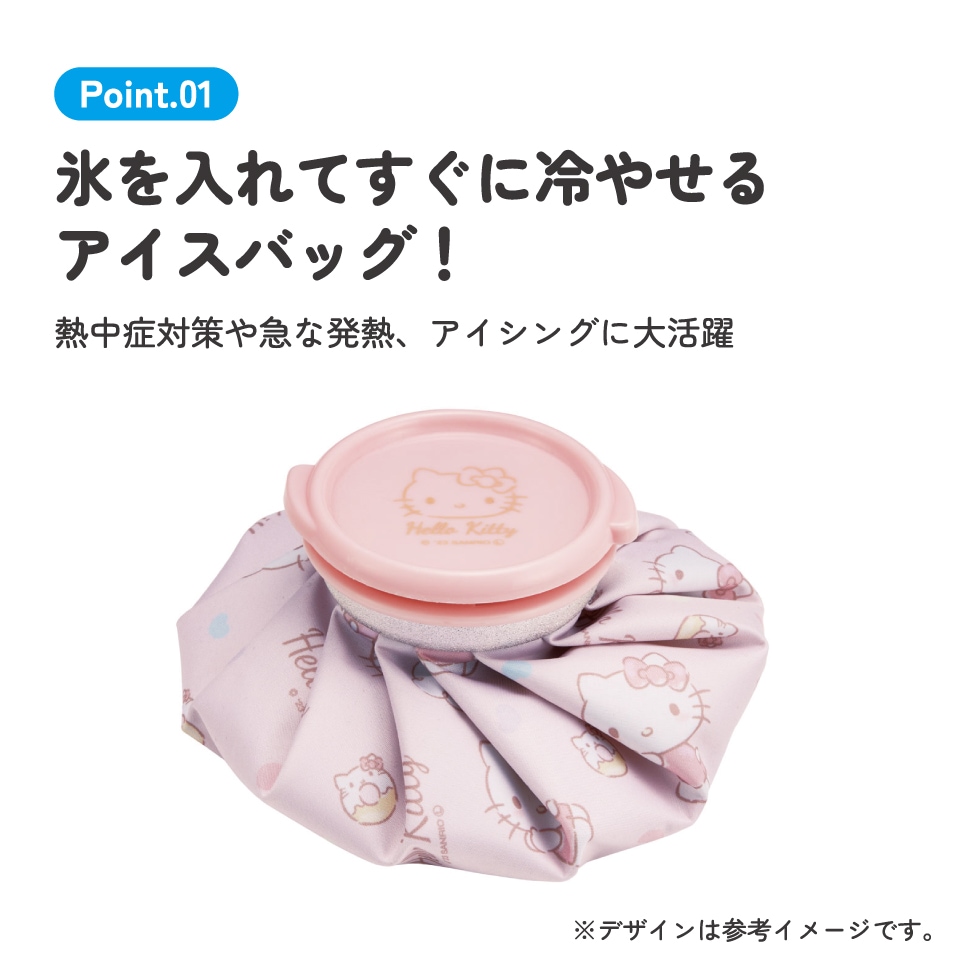 氷嚢 氷のう Sサイズ アイスバッグ アイスパック アイシング