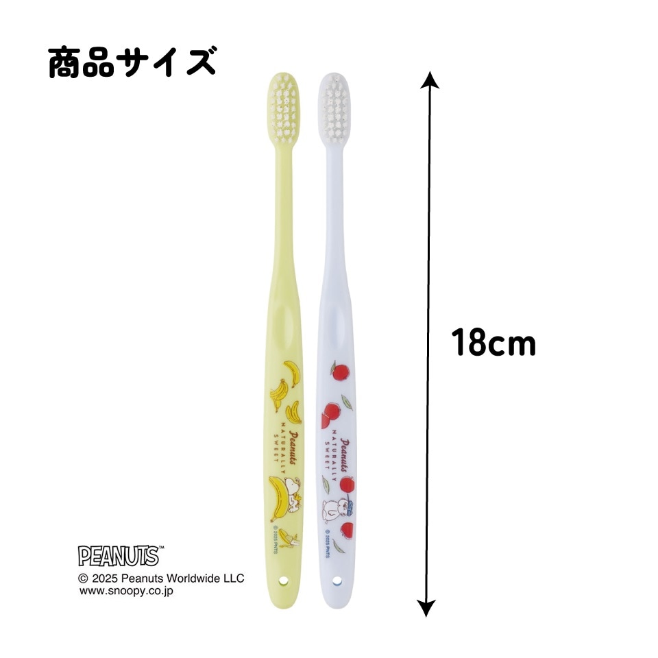 メール便対象品】 スケーター 歯ブラシ 2本 セット ふつう 衛生 用品