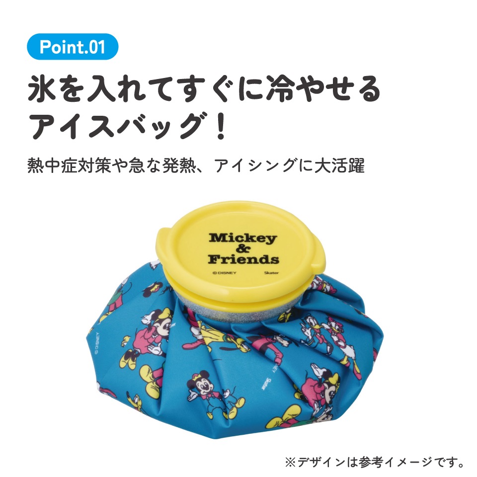 氷嚢 氷のう Sサイズ アイスバッグ アイスパック アイシング 冷却