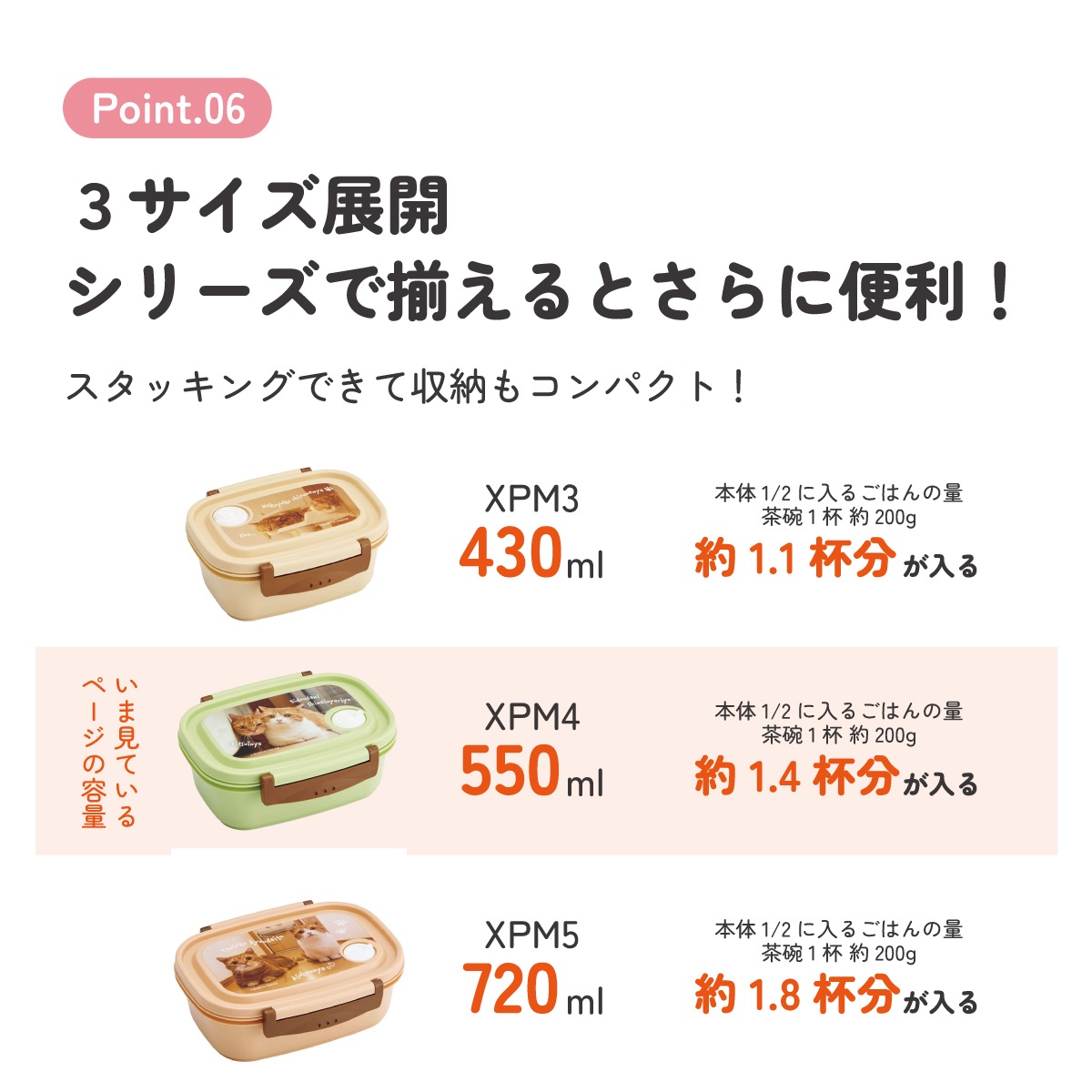 ラク軽弁当箱(M) 1段/550ml茶太郎ときなこ／XPM4_4973307664076