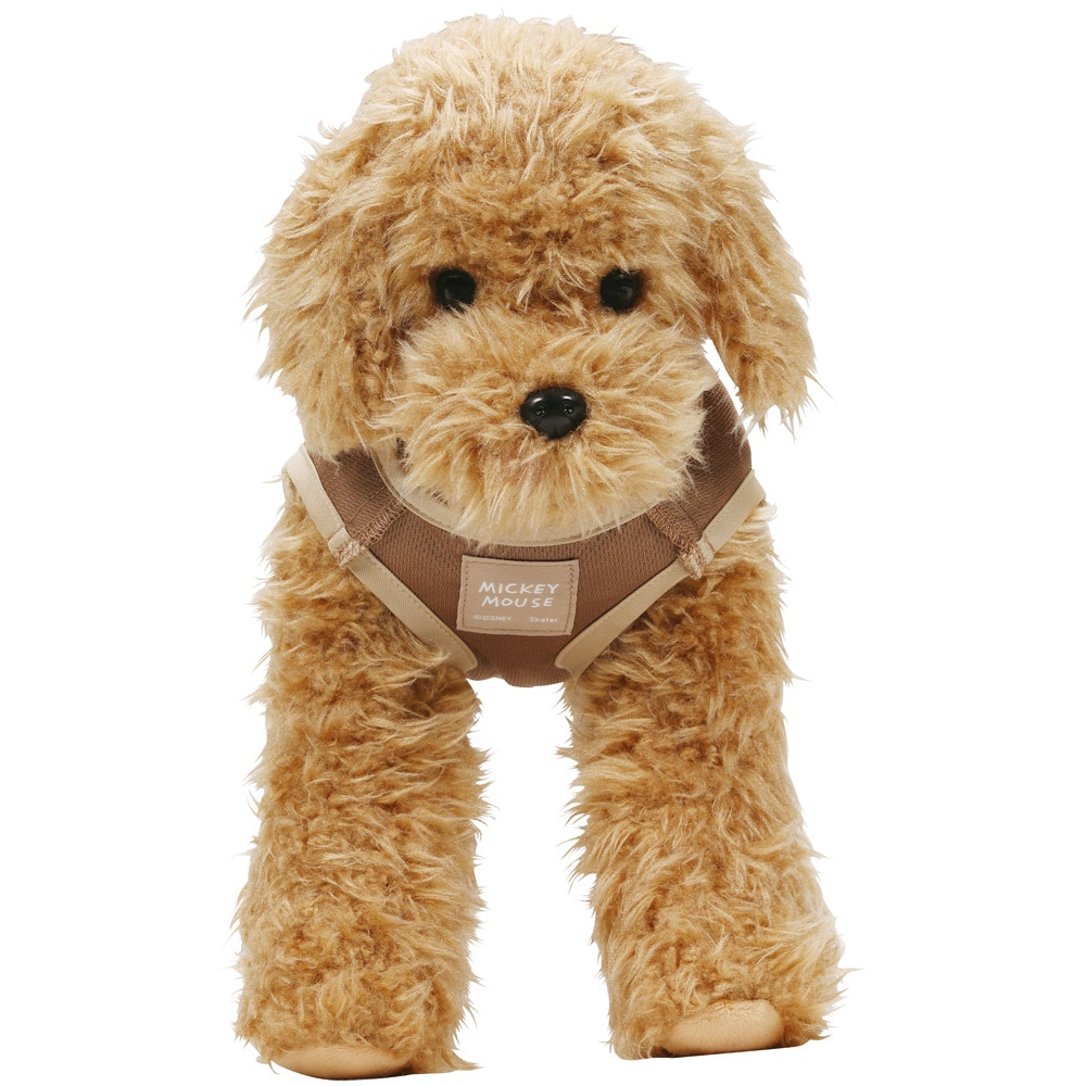 メール便対象品】 ペット用 術後服 犬 男の子用 5号 大阪公立大学 獣医