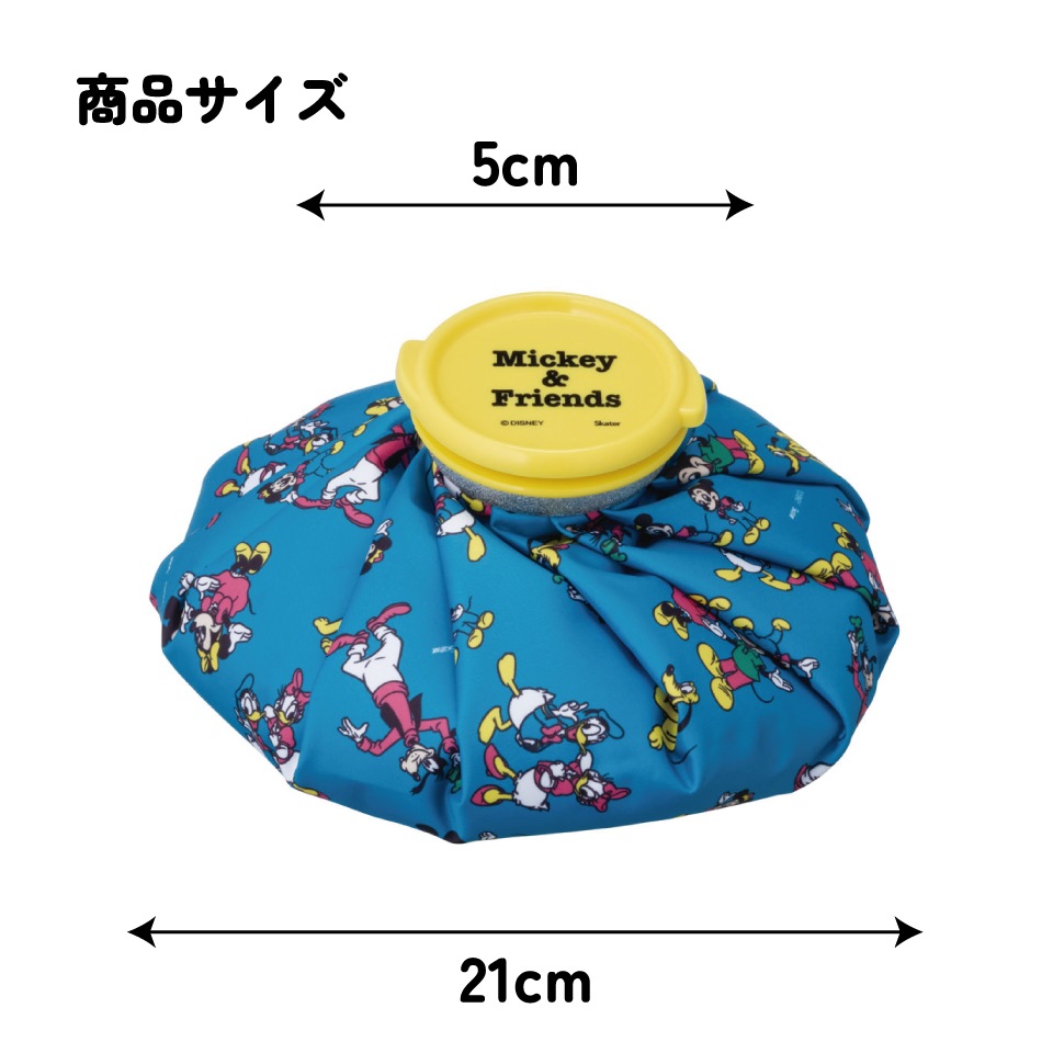 氷嚢 氷のう Mサイズ 直径約20cm アイスバッグ アイスパック
