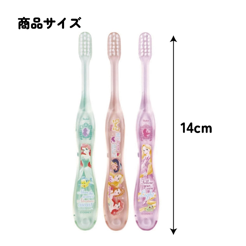 4_000000006423.jpg?1756277005