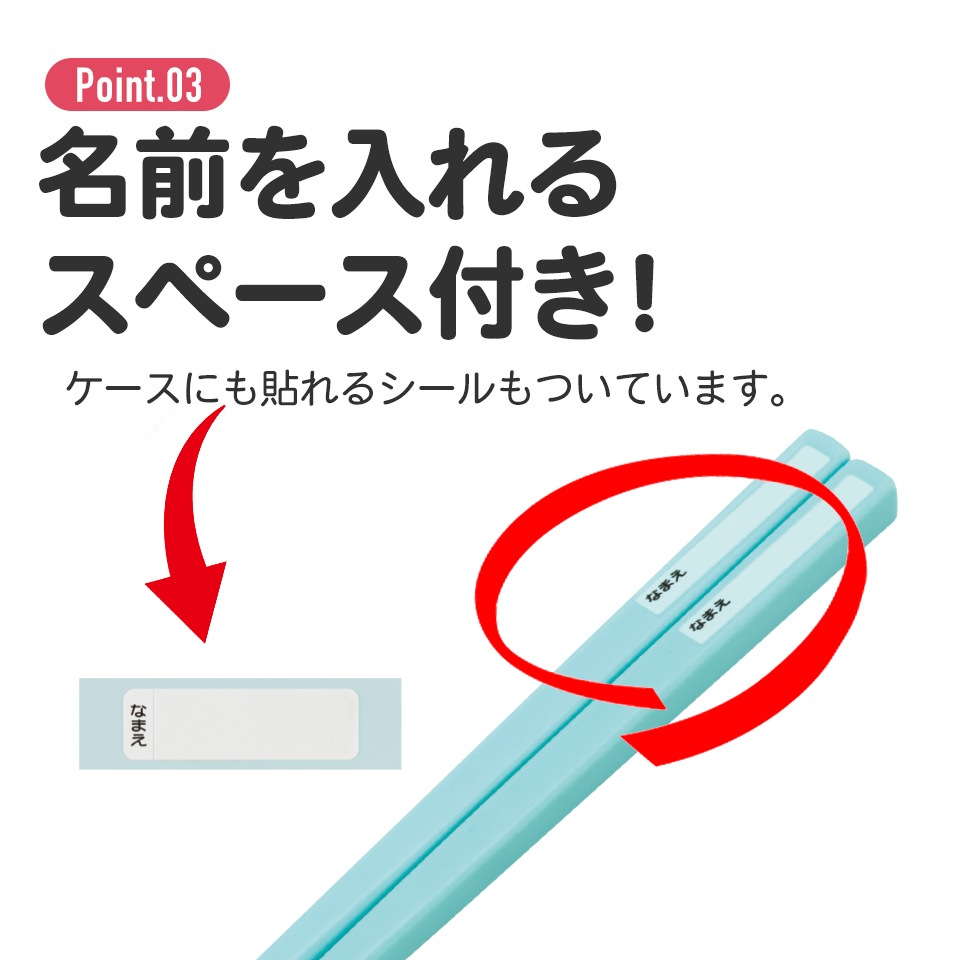 ワンピースはしセット スケーター 箸箱セット 抗菌食洗機対応箸箱セット ワンピース24