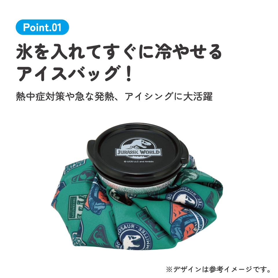 氷嚢 氷のう Sサイズ アイスバッグ アイスパック アイシング