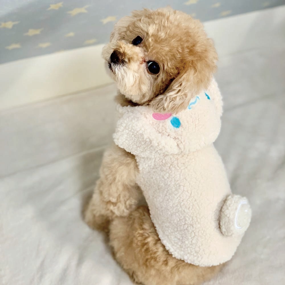 犬のフード付きマスコット 忠犬もちしばスクっとプチマスコット3 プライズの情報サイト