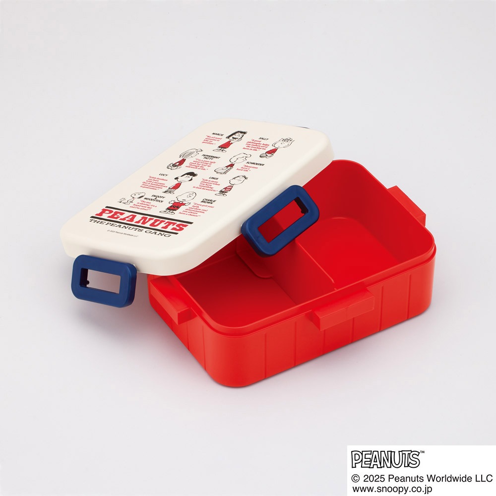 スケーター お弁当箱 1段 大人 650ml かわいい シンプル 日本製 弁当箱