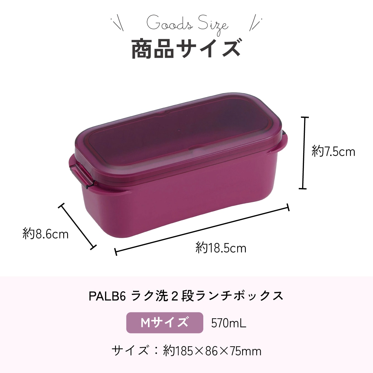 スケーター パッキン一体型 ラク洗 らくあら 2段ランチボックス 570ml
