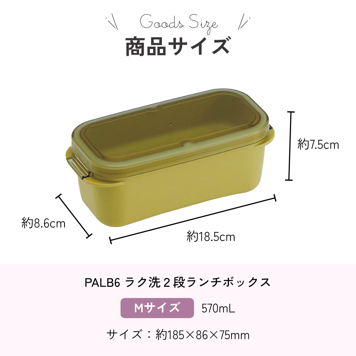 スケーター パッキン一体型 ラク洗 らくあら 2段ランチボックス 570ml