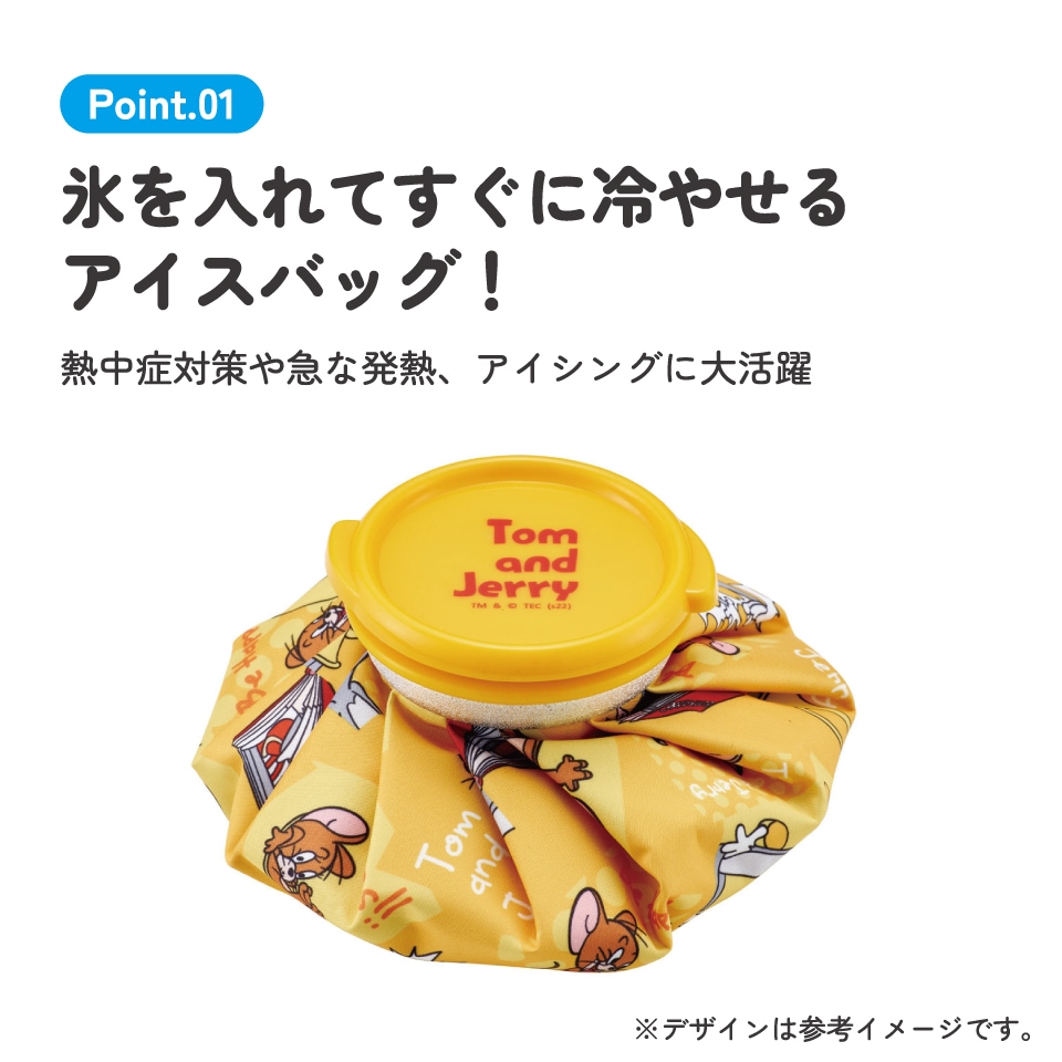 氷嚢 氷のう Sサイズ アイスバッグ アイスパック アイシング 冷却