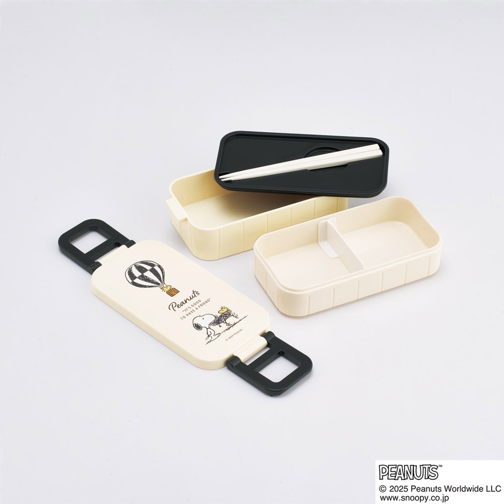 スケーター お弁当箱 弁当箱 お弁当 ランチボックス 2段 二段 箸付き