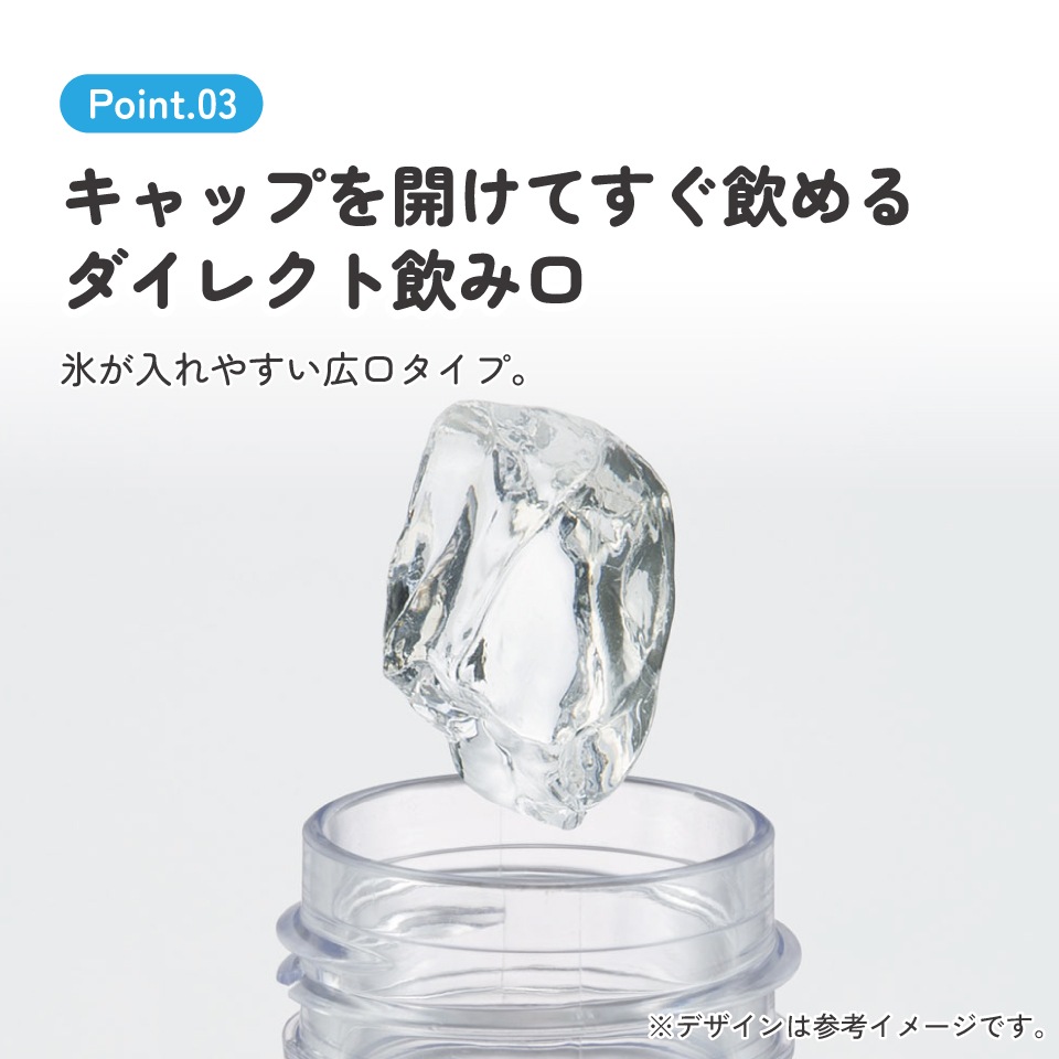 スタイリッシュブローボトル 500ml となりのトトロ（行進