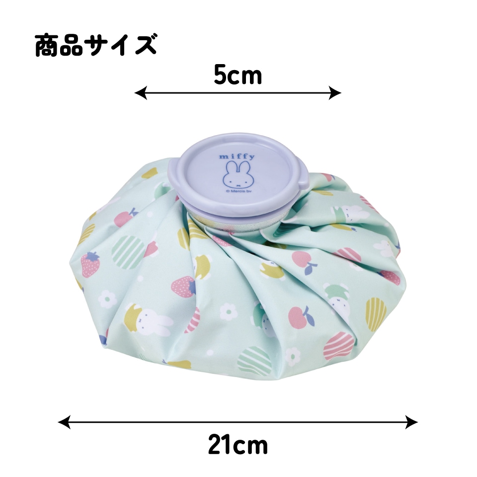 氷嚢 ザムスト（ZAMST）（メンズ、レディース、キッズ）氷嚢 氷のう