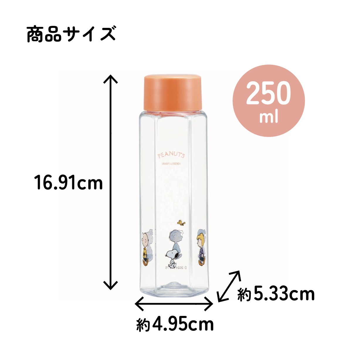 六角形 水筒 プラスチック 250ml ブロー ボトル 大人 キッズ 子供 直