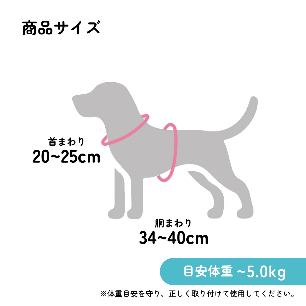 ハーネス S バーガーコンクス 犬 ペット 用品 グッズ 散歩 PTHV1