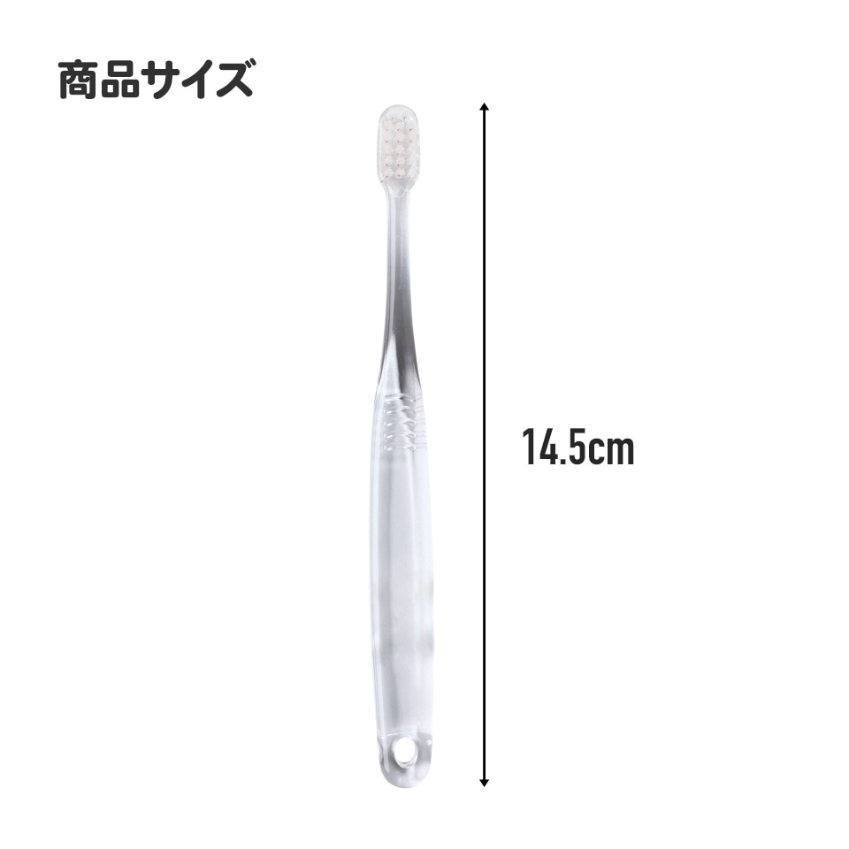 歯ブラシ kotori クリア歯ブラシ 3本セット/園児用トトロ プランツ