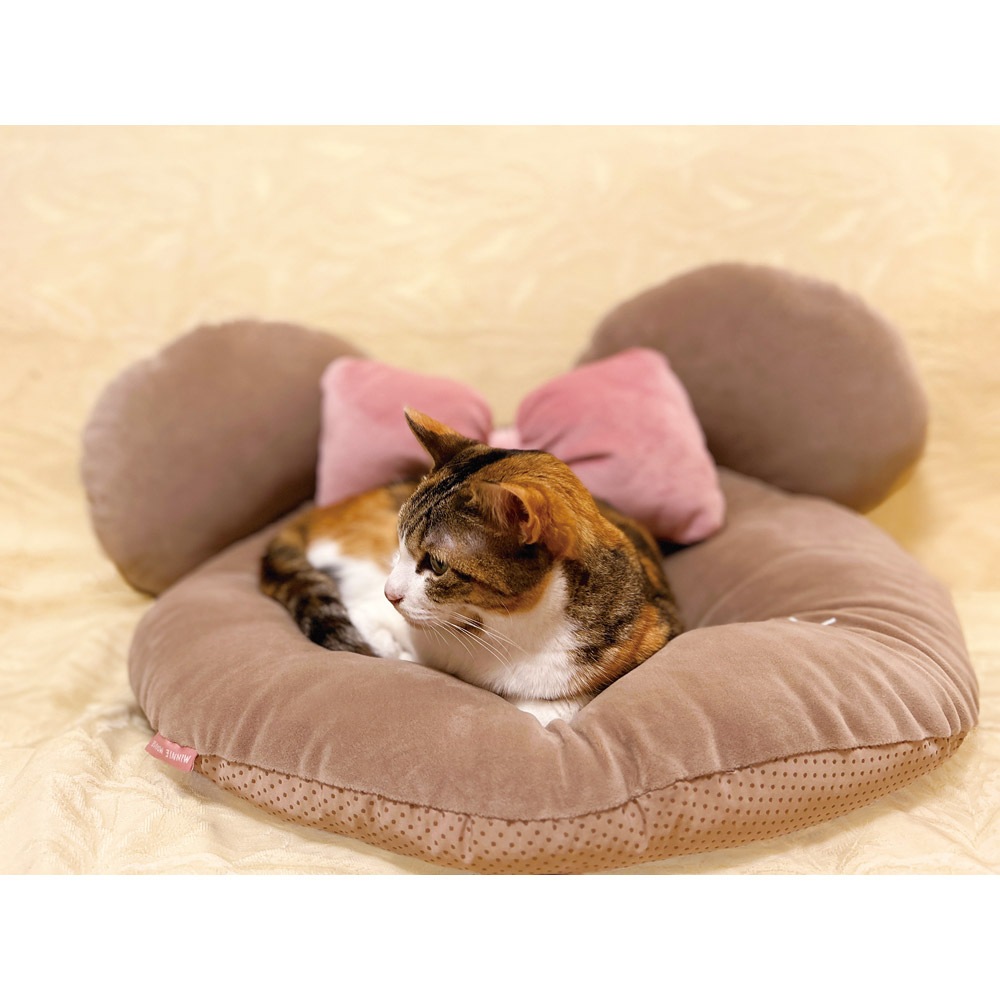 ペット用 クッション 犬 猫 超小型 小型 ペット かわいい
