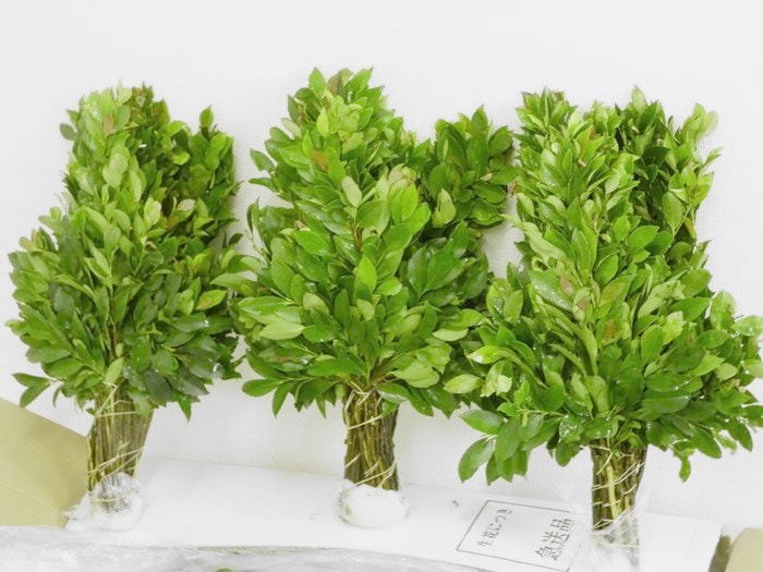 �� �������ѡʾ���