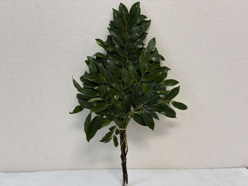 HS �������ѡʾ���