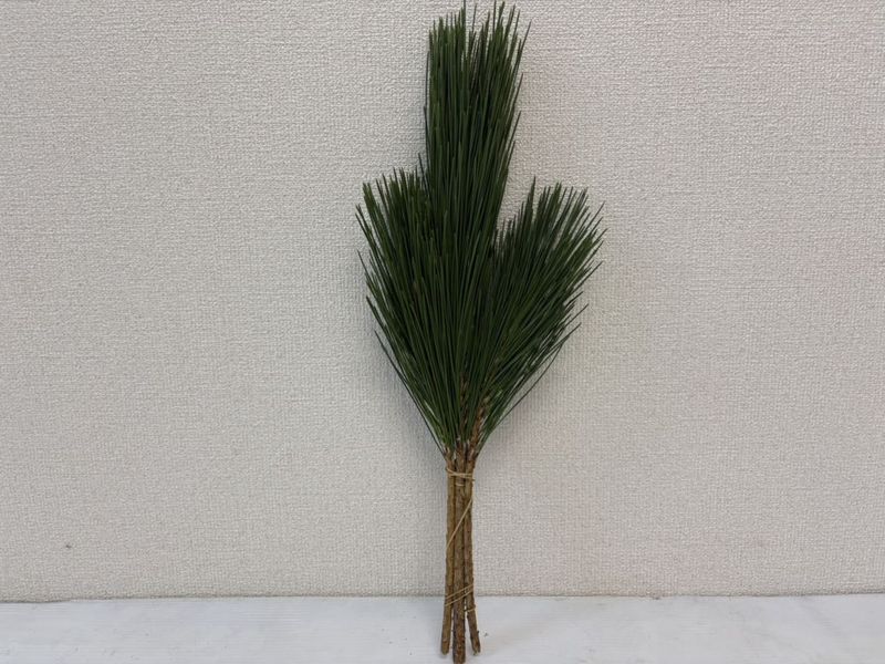 ���åȾ��¡�