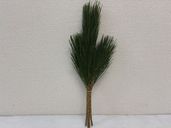 ���åȾ��¡�