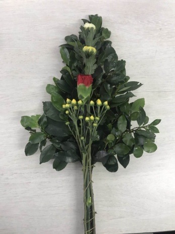 ��֣ԡ�14 ����