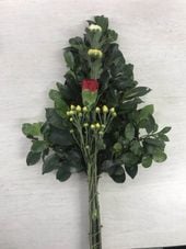 ��֣ԡ�14 ����