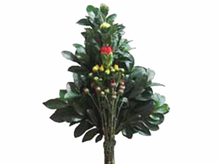 ��֣ԡݣ� ����